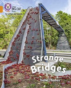 Strange Bridges 