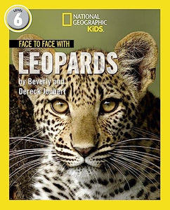 Face to Face with Leopards 