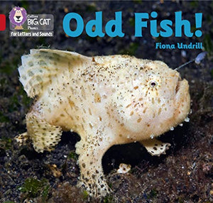 Odd Fish! 