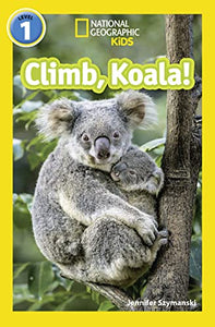 Climb, Koala! 