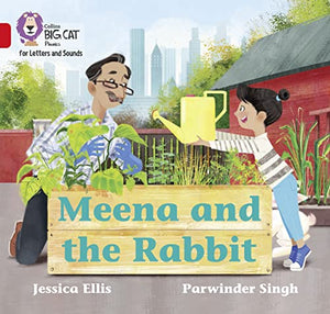 Meena and the Rabbit 