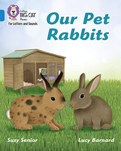 Our Pet Rabbits 