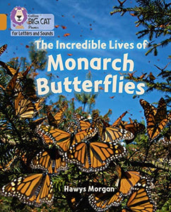 The Incredible Lives of Monarch Butterflies 