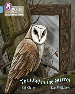 The Owl in the Mirror 