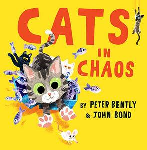 Cats in Chaos 