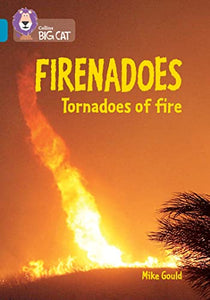 Firenadoes: Tornadoes of fire 