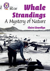 Whale Strandings: A Mystery of Nature 