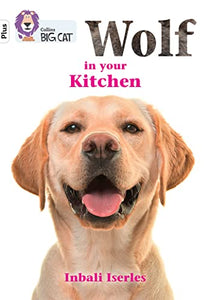 Wolf in your kitchen 