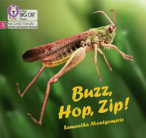 Buzz, Hop, Zip! 