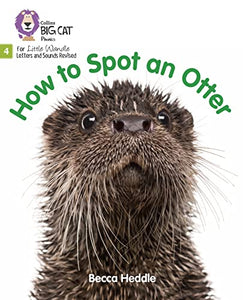 How to Spot an Otter 