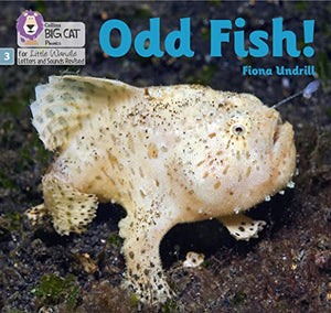 Odd Fish! 