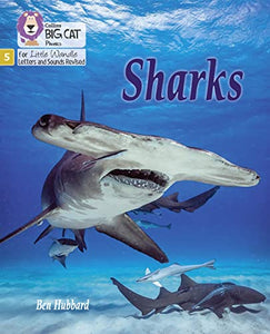 Sharks 