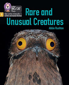 Rare and Unusual Creatures 