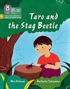 Taro and the Stag Beetle 