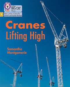 Cranes Lifting High 