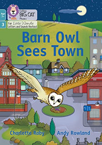 Barn Owl Sees Town 