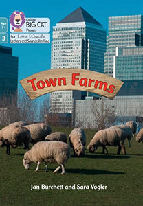 Town Farms 