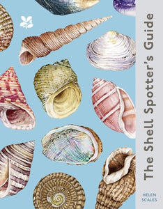 The Shell Spotter’s Guide 