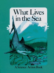 What Lives in the Sea 