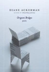 Origami Bridges 