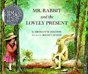 Mr Rabbit and the Lovely Present 