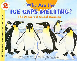 Why Are the Ice Caps Melting? 