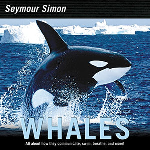 Whales 