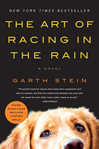 The Art of Racing in the Rain 