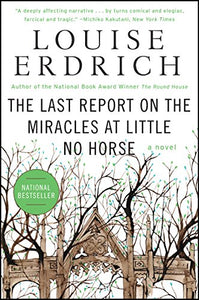 The Last Report on the Miracles at Little No Horse 