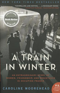 A Train in Winter 
