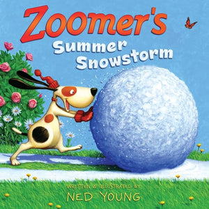 Zoomer's Summer Snowstorm 