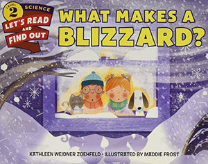 What Makes a Blizzard? 