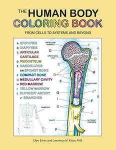 The Human Body Coloring Book 