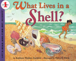 What Lives In A Shell 