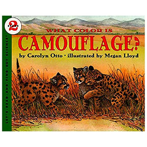 What Colour is Camouflage? 