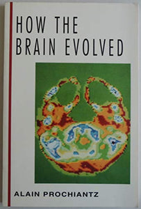 How the Brain Evolved 