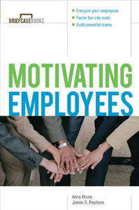 Motivating Employees 