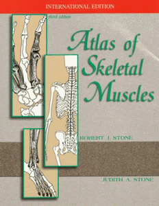 Atlas of Skeletal Muscles 