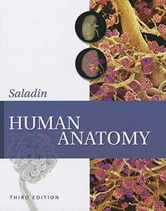 Human Anatomy 