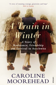 A Train in Winter 