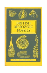 British Mesozoic Fossils 