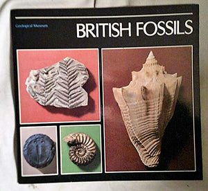 British Fossils 