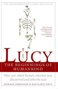 Lucy 