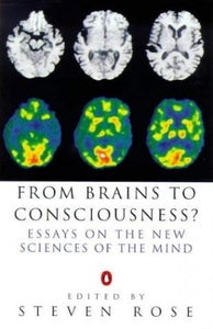 From Brains to Consciousness? 