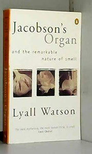 Jacobson's Organ 