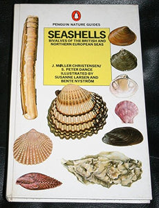 Seashells 