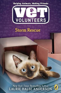 Storm Rescue 