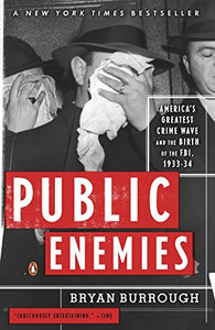 Public Enemies 