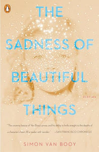 The Sadness of Beautiful Things 