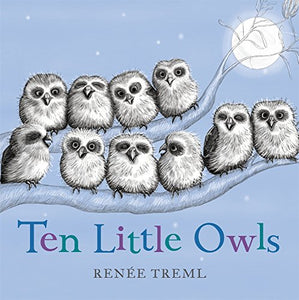 Ten Little Owls 